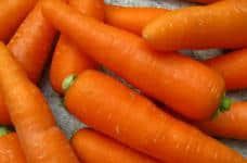 胡萝卜的热量?胡萝卜在减肥期间吃可以吗?