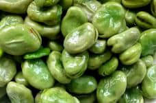 你知道油炸蚕豆有什么功效吗？好吃不腻的油炸蚕豆还有这些作用！