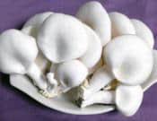 白灵菇的食用方法和营养价值介绍！白灵菇怎么吃更健康？