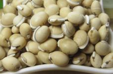中药白扁豆的功效介绍！教你如何食用白扁豆！