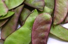 吃白扁豆有哪些副作用？吃白扁豆的副作用介绍！