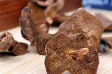 野生松蘑怎么吃呢？这里有最好吃的野生松蘑的做法！