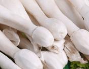 鸡腿菇的营养价值和注意事项介绍！鸡腿菇的食用方法竟然这么多！