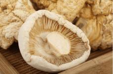 白菌的食用方法有哪些?又美味又健康的白菌怎么做出来!