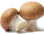 蘑菇有什么营养价值呢？关于蘑菇的营养价值和注意事项介绍！