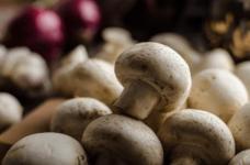 秀珍菇和平菇一样吗?秀珍菇和平菇之间的秘密你知道多少呢?