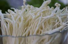 金针菇怎么做好吃?金针菇鲜美汤品做法介绍!