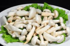 白玉菇和金针菇的区别介绍！白玉菇还可以和金针菇一起吃！