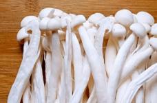 白玉菇和海鲜菇的区别是什么？白玉菇营养价值更高！
