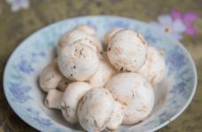 口蘑怎么做好吃?教你最简单的口蘑家常菜做法!包你一学就会!