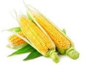 玉米有什么营养？玉米的功效和作用介绍！