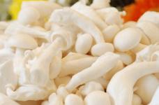 白玉菇的副作用是什么？哪些朋友不适合吃白玉菇？