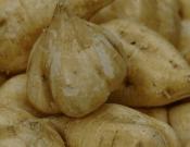 豆薯有什么营养？豆薯的功效与作用！