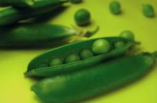 荷兰豆怎么炒才不会黄?教你几个炒出翠绿荷兰豆的小技巧!