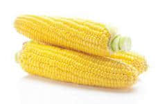 玉米有什么功效和作用?带你深入了解玉米的强大功能！