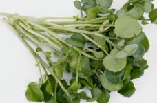 豆瓣菜怎么储存保鲜时间更长久？豆瓣菜可以怎么吃？豆瓣菜的各类做法介绍！