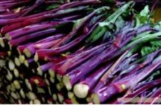 紫菜薹做法是什么？几个步骤教你炒出一份美味紫菜薹！