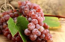 盆栽葡萄如何培养?这种方式保证能让你种出又大又甜的葡萄!