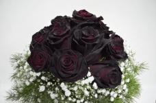 黑玫瑰有毒吗?黑玫瑰是怎么形成的呢?