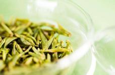 竹叶青茶多少钱一斤？不同品级不同价格，带你了解各个品级的价格!