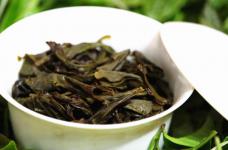 武夷水仙茶的保质期有多久？原来影响茶叶保质期的因素有这么多！