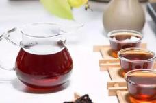 苦丁茶有哪些功效作用呢？怎么喝苦丁茶最好？血糖高、想减肥的人看这里哦！