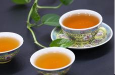 古树茶多少钱一斤?带你了解正宗普洱古树茶的价格!