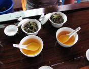 水仙茶适合什么人喝？水仙茶的功效与作用介绍！