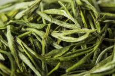 敬亭绿雪茶的特点是什么？敬亭绿雪茶是一位有历史韵味的茶中美人！