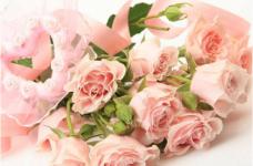 粉红玫瑰花语是什么？它代表着纯洁而刻骨的初恋，不同朵数花语也不同呢!