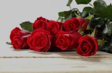 那么漂亮的玫瑰花价格是多少呢?不同颜色玫瑰花的价格也不同哦！