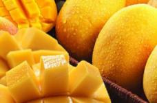 吃芒果的季节就要到了！快来看看吃芒果有哪些好处和坏处吧！ 
