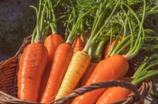 胡萝卜怎么吃最营养？胡萝卜营养功效作用有哪些？