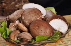 香菇可以抗癌吗？哪些人不宜吃香菇？