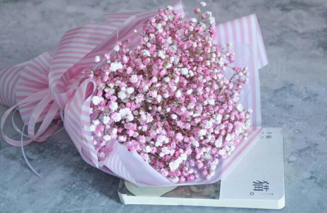粉色圆锥石头花花语图片