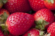 草莓是什么，怎么栽培