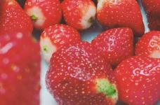 草莓几月份成熟，草莓采摘季节