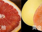 黄金柚子与红柚区别，红柚和黄柚的营养区别